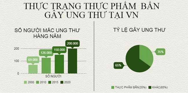 Công Ty Cổ Phần Sản Xuất Thương Mại Dịch Vụ Nguyễn